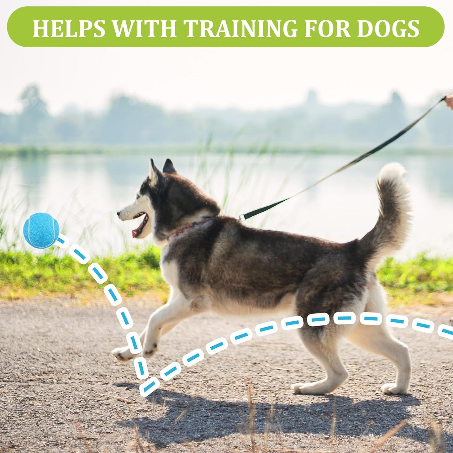 20Pcs Small Tennis Balls for Dogs, 2 Inch Colorful Mini Tennis Balls 5 Colors Pet Puppy Ball for All 2 Inch Dog Ball Launchers