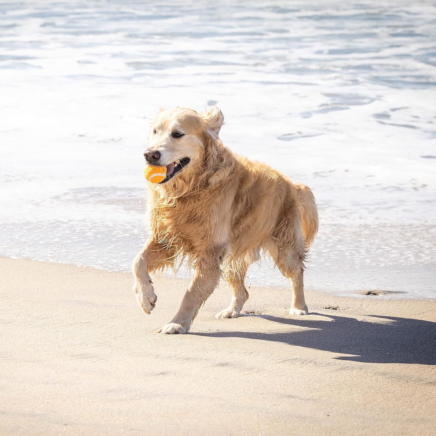 Hyper Pet MINI Tennis Balls for Dogs Safe Dog Toys & Tennis Balls for Exercise, Training, Hyper Pet K9 Kannon Dog Ball Launcher) Bright Colored Interactive Orange Pack of 4