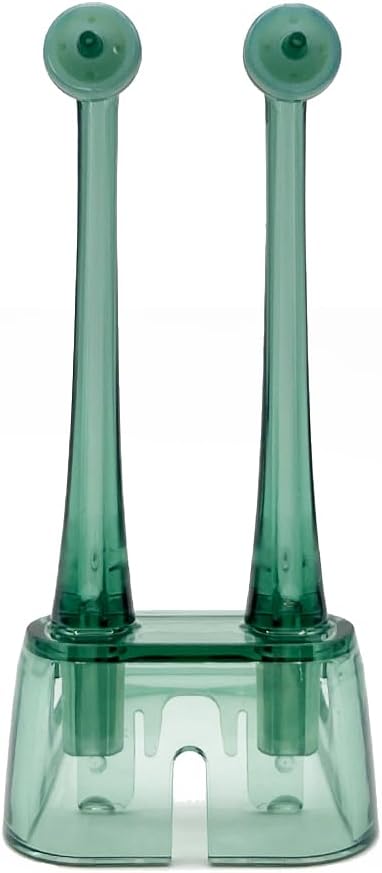 2PCS Flosser Replacement Tips Fit for Philip AirFloss,Flosser Tip Replacement Oral Irrigator Nozzle AirFloss Compatible with HX8211/HX8240/HX8241/HX8255 (Green)