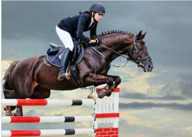 ArenaGear Show Jump Timer (RM-510)