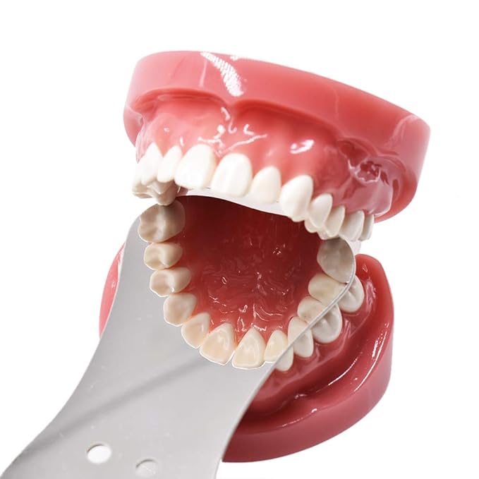 Angzhili 1 piece Dental Photography Mirrors Dental Orthodontic Mirror Stainless Steel Single Sided Photographic Occlusal Mirror,Bendable Dental Oral Mirror Intra-Oral Reflector(D type)