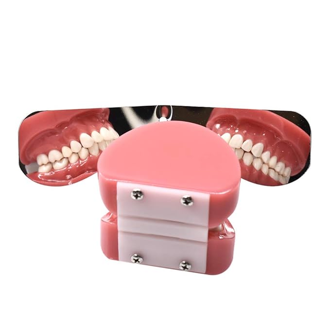 Angzhili 1 piece Dental Photography Mirrors Dental Orthodontic Mirror Stainless Steel Single Sided Photographic Occlusal Mirror,Bendable Dental Oral Mirror Intra-Oral Reflector (C type)