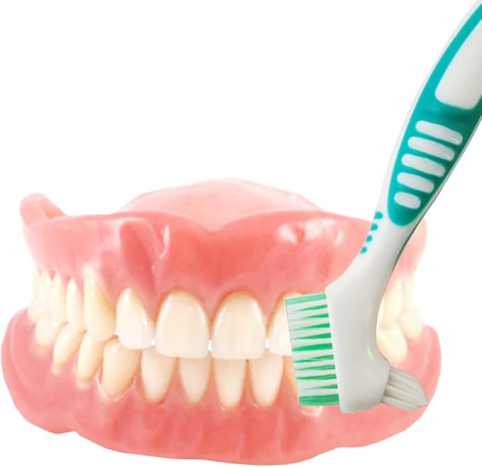 GXXMEI 4PCS Denture Brush Toothbrush Denture Toothbrush Brush Cleaning Brush for False Teeth Cleaning