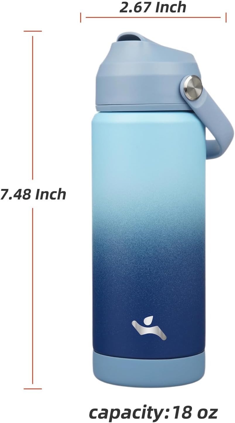 Insulated Water Bottle with Straw Lid,18 oz Stainless Steel Vacuum Metal Bottle with Silicone Handle,Sky