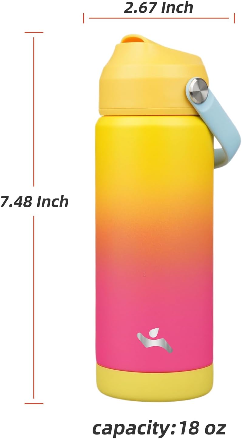 Insulated Water Bottle with Straw Lid,18 oz Stainless Steel Vacuum Metal Bottle with Silicone Handle,Rainbow
