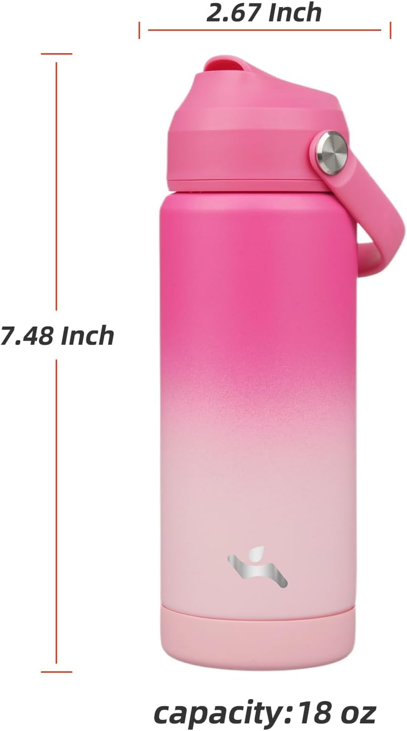 Insulated Water Bottle with Straw Lid,18 oz Stainless Steel Vacuum Metal Bottle with Silicone Handle,Cherry Blossom
