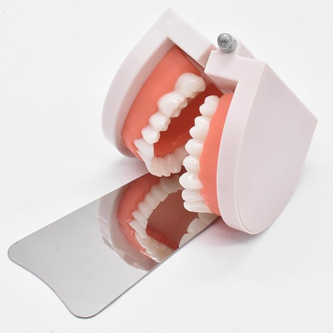 Angzhili 1 Piece Dental Anti-Fog Photography Mirrors,2 Sided Fog Free Intraoral Photography Mirror,Stainless Steel Occlusal Mirror (M maxillofacial mirror)
