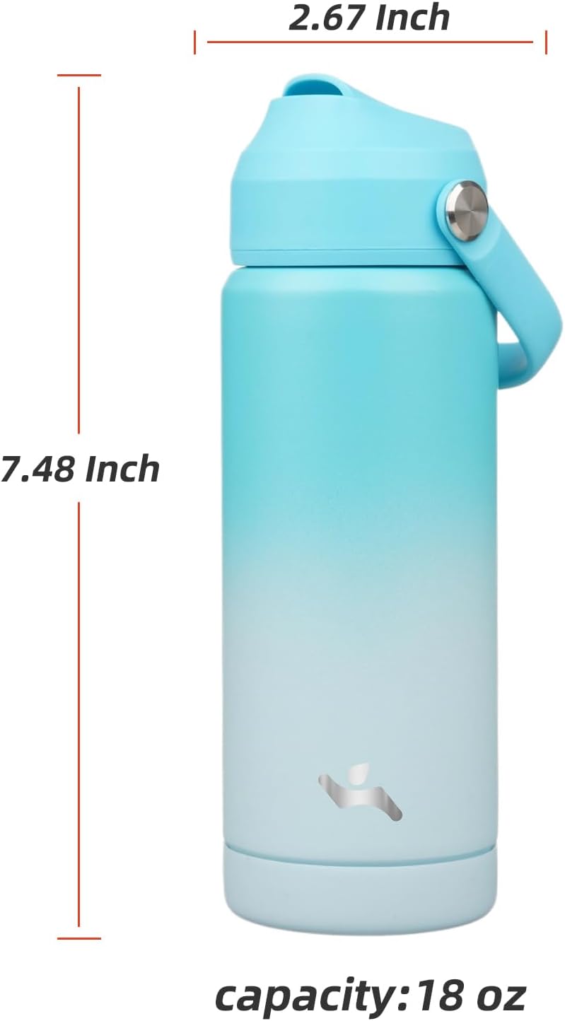 Insulated Water Bottle with Straw Lid,18 oz Stainless Steel Vacuum Metal Bottle with Silicone Handle,Sea Salt