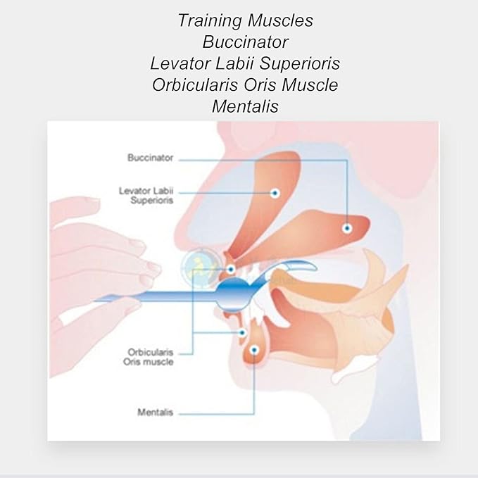 4PCS Tongue Trainer, Plastic Tongue Tip Exerciser Portable Oral Lips Exerciser Plastic Perceiving Recovery Tool for Dysarthria(Orange)