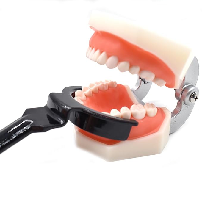 Angzhili 8 Pcs Dental Lip Retractor,Dental Photography Retractors,Black Orthodontic Lip Retractor (Small)