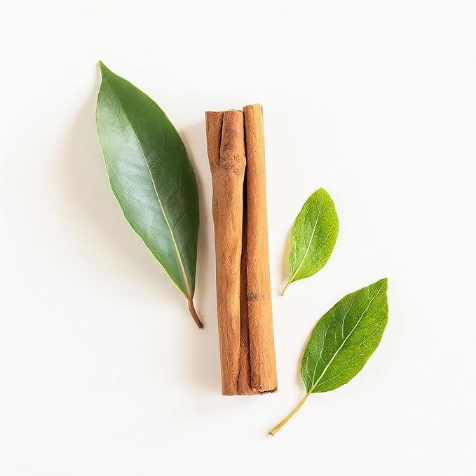 Essential Oxygen, Certified Organic Brushing Rinse, Cinnamint, 16 fl oz, All Natural Mouthwash for Whiter Teeth, Fresher Breath, and Happier Gums, Dentist Recommended, Alcohol-Free, BR (Pack of 1)