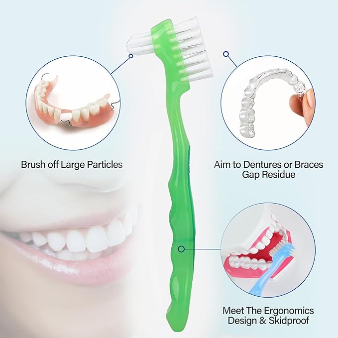 2-Piece Denture Cleaning Brush Set - Multi-Layered Bristles False Toothbrush with Ergonomic Handle and White Carrying Case for Fake Teeth Cleaning, Travel-Sized Oral Care Tool (Green&Purple, One Size)