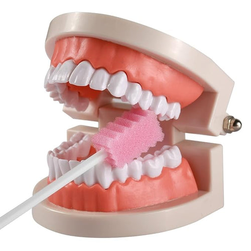 (100 Pack) Disposable Oral Swabs, Sterile Dental Sponge Swabsticks Unflavored for Mouth or Gum Cleaning - Sponge and Paper Rod.