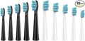 10 Pcs Electric Toothbrush Replacement Heads Compatible with Sonic-FX and Fit SnapWhite for Adults and Kids, Soft Charcoal/Nylon Bristles(5 Black+5 White)