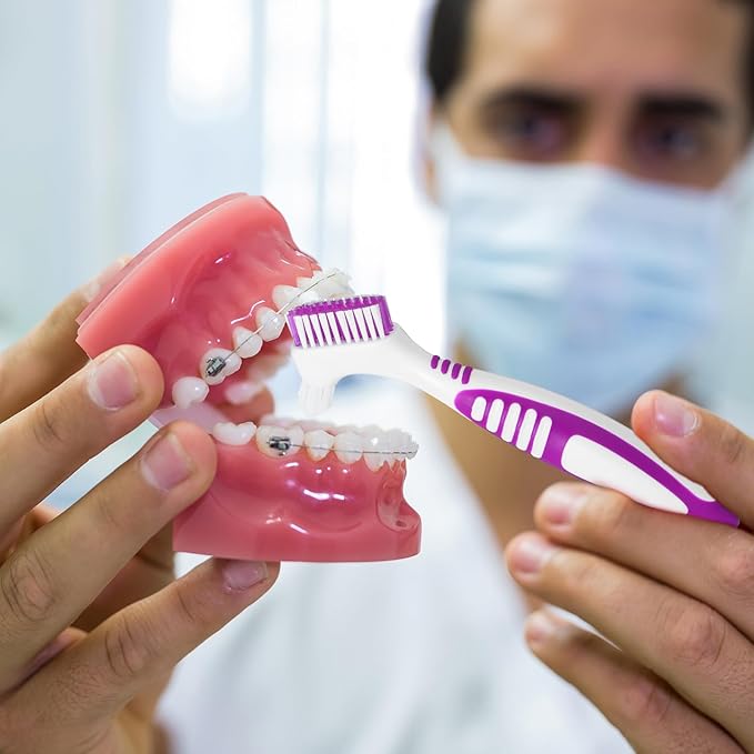 2pcs Denture Brush, Denture Cleaning Brush Set with White Carrying Case Denture Toothbrushes with Multi-Layered Soft Bristles and Rubber Anti-Slip Handle (Purple + Green)