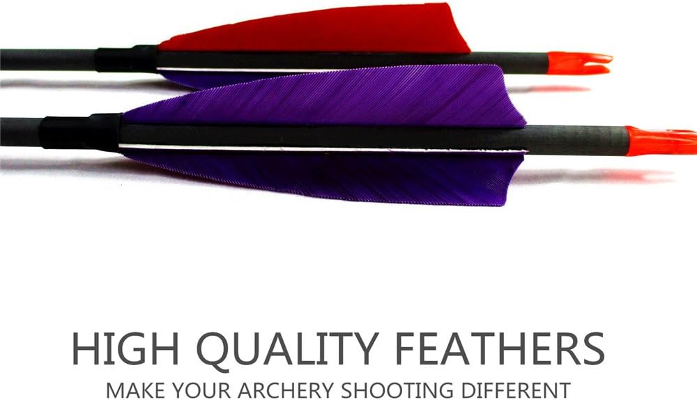 600 Spine Pure Carbon Arrows with Real Turkey Feathers Removable 100 Grain Tips Plastic Nocks for Archery Target Hunting
