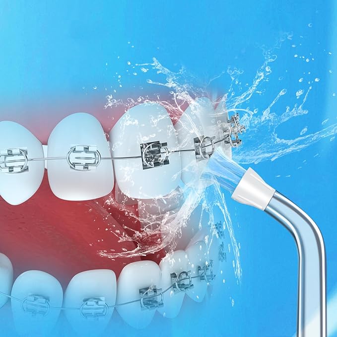 Replacement Tips for Waterpik Water Flosser, Plaque Seeker Replacement Tips Compatible with Waterpik Water Flossers, Plaque Remove Brisles Tips(6-Pack)