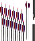 600 Spine Pure Carbon Arrows with Real Turkey Feathers Removable 100 Grain Tips Plastic Nocks for Archery Target Hunting