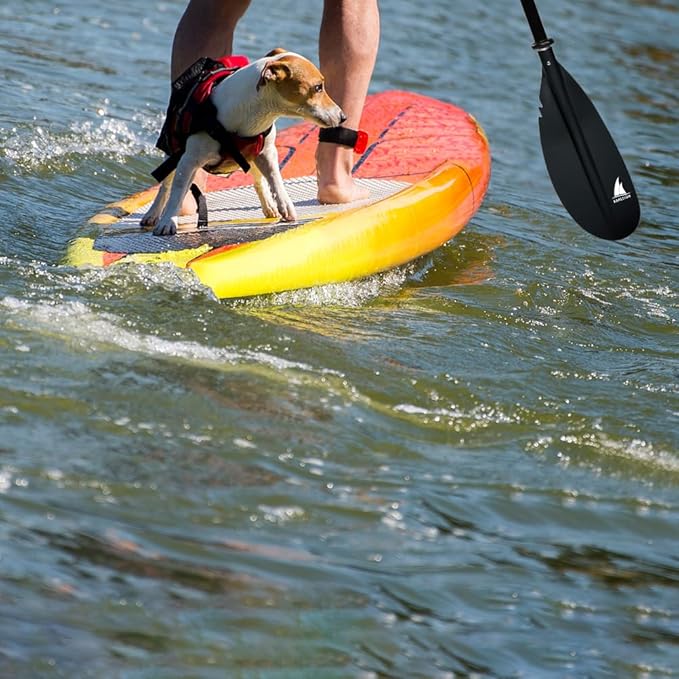 Kayak Paddle - Adjustable 2 Pieces Aluminum Alloy Shaft with Glass Fiber Blade for Surfing,Oar Fishing Easy Packable Travel