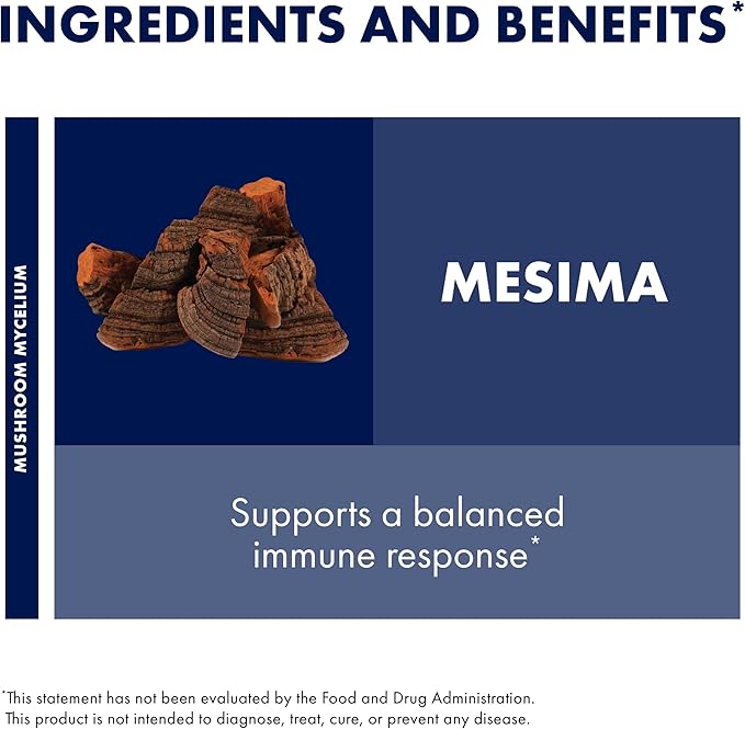 Host Defense Mesima Capsules - Herbal Antioxidant Activity & Immune System Support Supplement - Mushroom Supplement to Support Balanced Immune Response - 60 Capsules (30 Servings)*