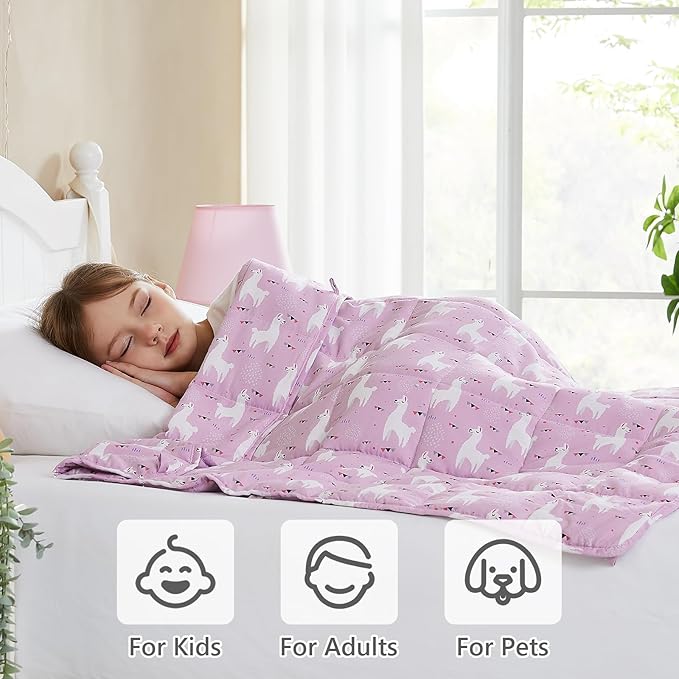 L'AGRATY Weighted Blanket - 36"x48" 3lbs Weighted Blanket Microfiber Material with Glass Beads Small Blanket for All-Season Summer Fall Winter Soft Thick Blanket