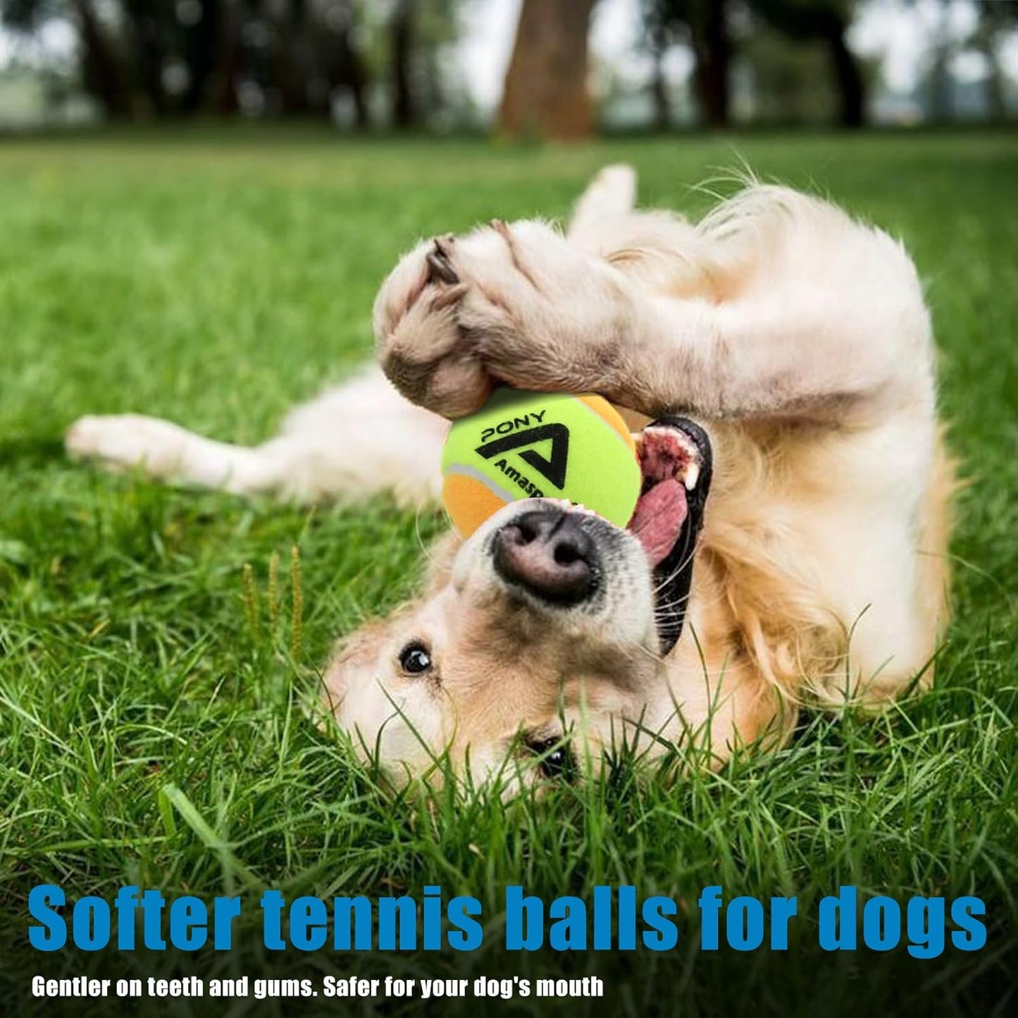 LITIAN Kids Tennis Balls – 50% 75% Low Compression Red Orange Balls with Durable Felt – Softer Than Regular Tennis Balls, Great for Youth Training & Dog Play (12 & 30 Pack)