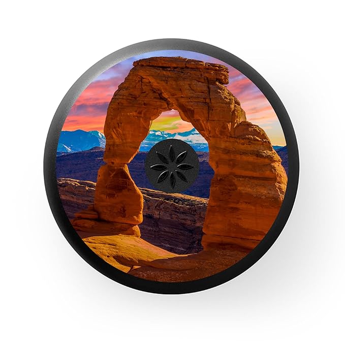 Invisalign Aligner and Retainer Case, Delicate Arch