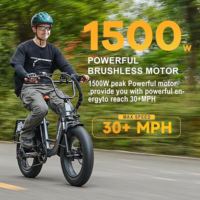 1500W Peak Motor Electric Bike for Adults Up to 80 Miles 30MPH Dirt Ebike 20" x 4 Fat Tire 48V 20Ah Removable Battery Mountain E Bike Commuter Full Suspension Bicycles for Men Women