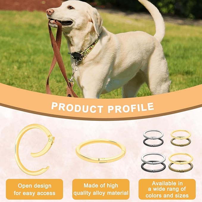 10Pack 2" Large Round Carabiner Clips, Metal Spring O Rings for Organizer Key Rings, Paracord Keychain Lanyard, Pet Chains, Purse Hardware, Key Snap Hooks DIY Accessory (Gold)