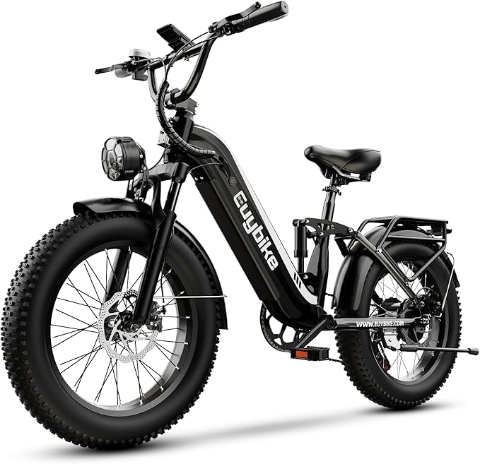 1500W Electric Bike for Adults,48V 20/60Ah Removable Battery Max Range 80Miles & 30MPH Electric Bicycle,20''×4" Fat Tire Ebike,Adult Electric Bicycles for Commute Beach Snow,E-Bike UL Certified