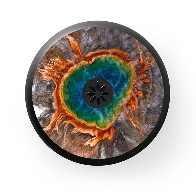 Invisalign Aligner and Retainer Case, Prismatic Spring