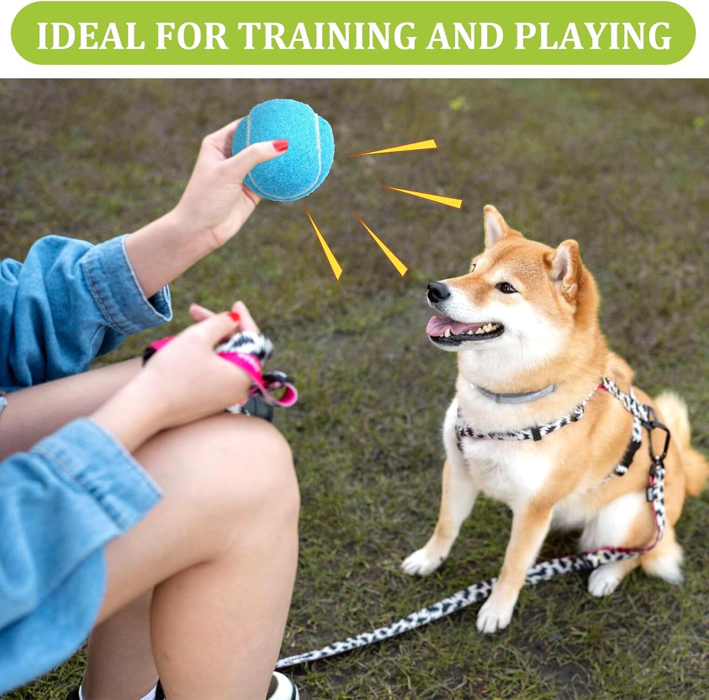 20Pcs Small Tennis Balls for Dogs, 2 Inch Colorful Mini Tennis Balls 5 Colors Pet Puppy Ball for All 2 Inch Dog Ball Launchers