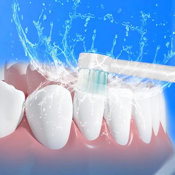 Replacement Tips for Waterpik Aquarius Water Flosser Waterpik Toothbrush Replacement Heads Toothbrush and Oral Irrigators (6 Brush Head Tips)