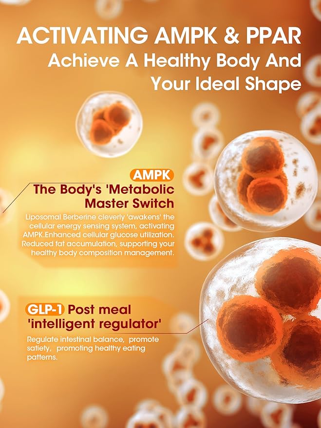 Liposomal Berberine HCL1300mg - Berberine Supplement with Ceylon Cinnamon Activates GLP-1 & AMPK - High Absorption Formula Healthy Weight Support – Non-GMO/Vegan – 60-Day