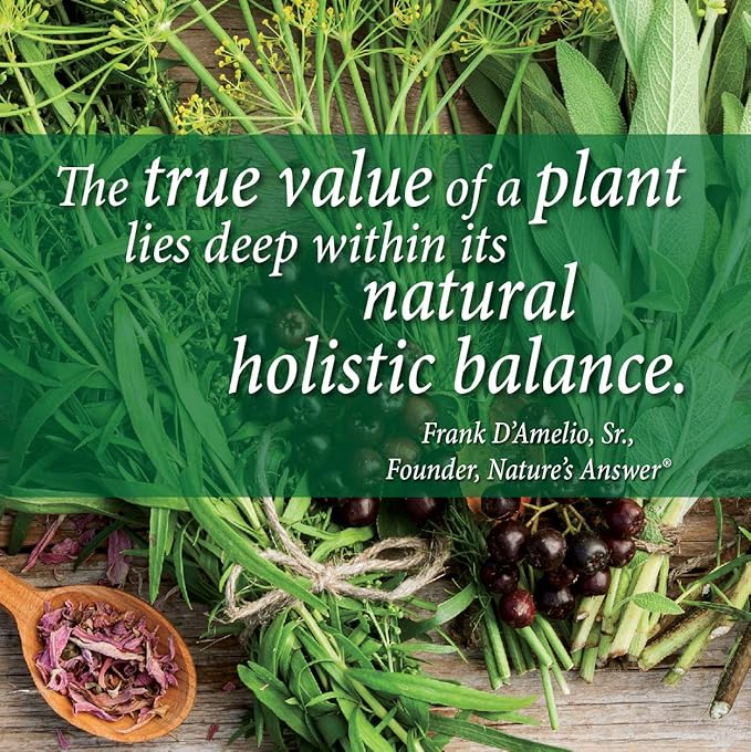 Nature's Answer Periobrite Alcohol-Free Mouthwash, Wintermint, 16 Ounce (2 Pack) | Fluoride Free | Natural Breath Freshener | Stain Remover | Natural Teeth Whitener