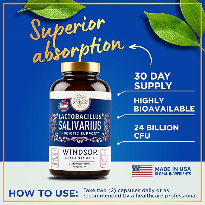 WINDSOR BOTANICALS Lactobacillus Salivarius Probiotic Capsules - L Salivarius Probiotic Oral Dental Probiotics for Bad Breath, Teeth and Gums Health and Immune Support - 24bn CFU, 2-Pack 120 Caps