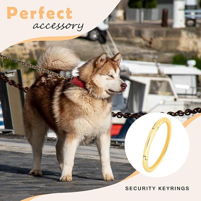 10Pack 1-1/2" Large Round Carabiner Clips, Metal Spring O Rings for Organizer Key Rings, Paracord Keychain Lanyard, Pet Chains, Purse Hardware, Key Snap Hooks DIY Accessory (Bronze)