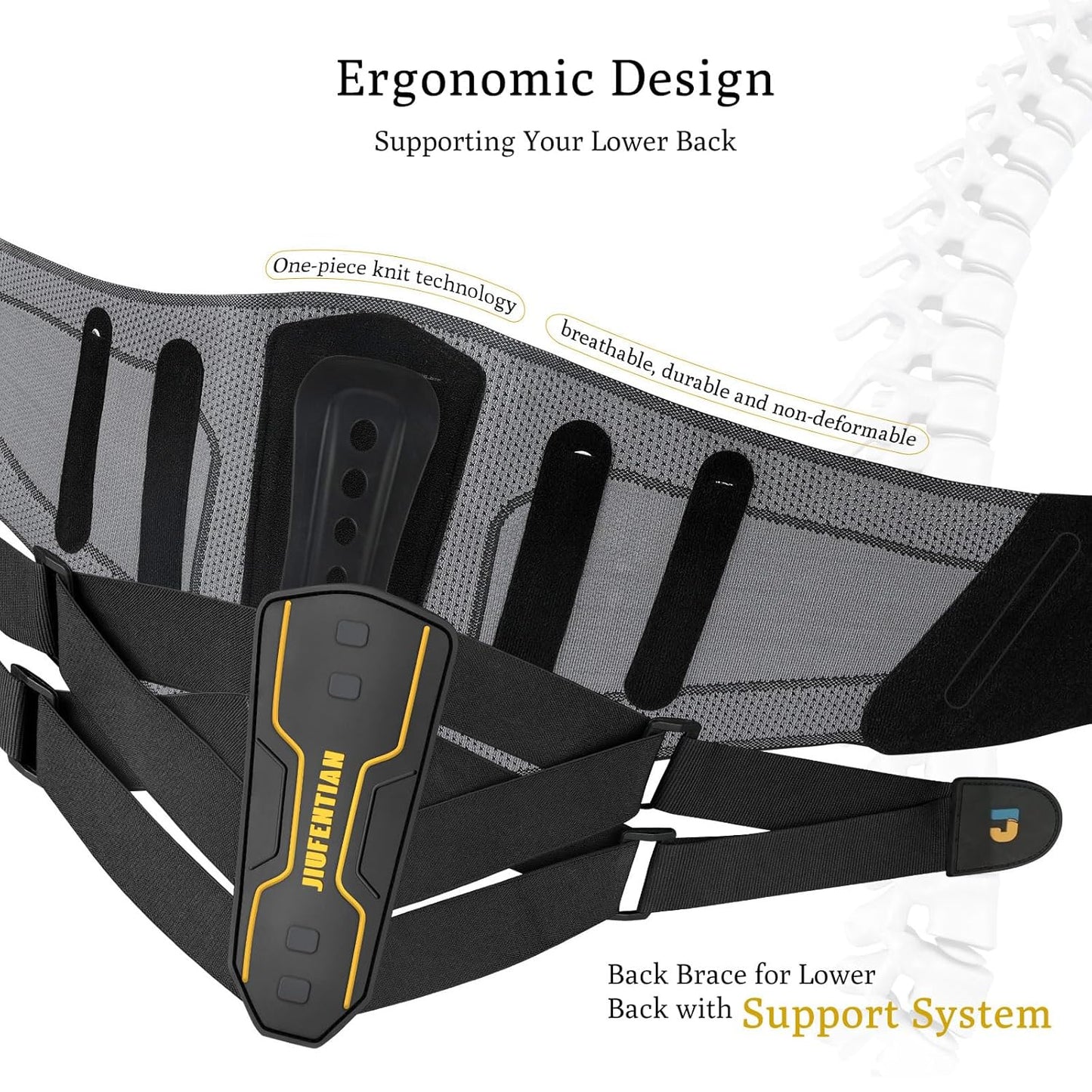 JIUFENTIAN Back Brace for Lower Back with Support System for men and Women -Lumbar Support Brace for Herniated Disc Lower Back Brace for Sciatica, Scoliosis,Heavy Lifting and Work(Large)