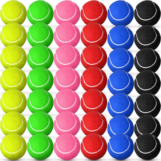 Jenaai 48 Pcs Colored Tennis Balls Bulk 2.5 Inch Standard Pressure, Practice Training Tennis Balls Dogs Playing Supplies for Player Beginner Youth Training Pet, 6 Colors