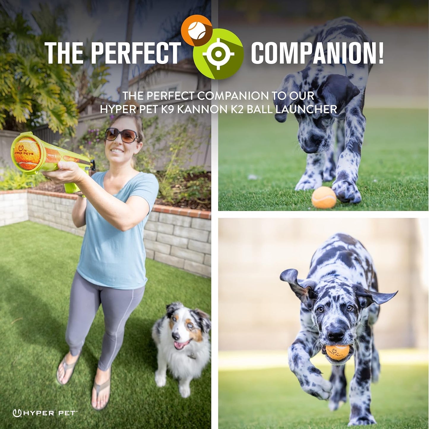 Hyper Pet Tennis Balls for Dogs (Safe Ball for Exercise and Training) Interactive Dog Toys work with Hyper Pet K9 Kannon K2 Dog Ball Launcher - 4 Pack 2.5" Orange