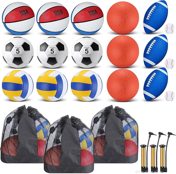 Leyndo 18 Pcs Sport Balls Bulk Set Basketball Football Volleyball Soccer Playground Baseball with Sport Equipment Bag Pump for Youth Adults Outdoor Indoor Practice Gift Back to School