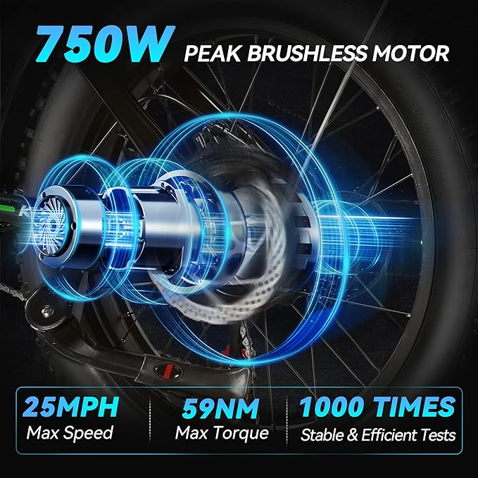 750W Electric Bike for Adults, 20" Fat Tire Electric Dirt Bike with 48V 13AH Removable Battery, Max 25 MPH & 35+Miles, LCD Display, Full Suspension Ebike for Snow/Beach/Mountains/Road