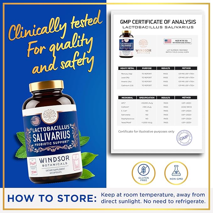 WINDSOR BOTANICALS Lactobacillus Salivarius Probiotic Capsules - L Salivarius Probiotic Oral Dental Probiotics for Bad Breath, Teeth and Gums Health and Immune Support - 24bn CFU, 2-Pack 120 Caps