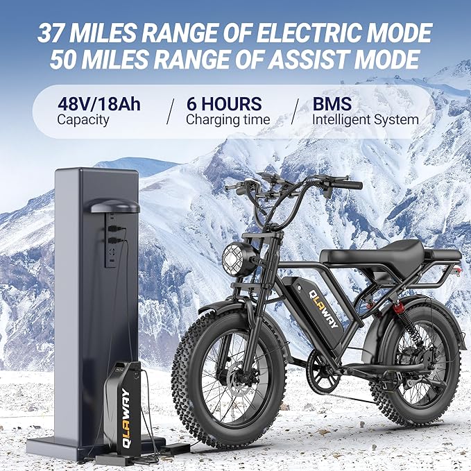 500W/750W Fat Tire Electric Dirt Bike for Adults, 48V 13.5AH/18AH Removable Battery 16"/20" Electric Motorcycle Ebikes with 31MPH Top Speed, 40-70 Miles Range, Full Suspension