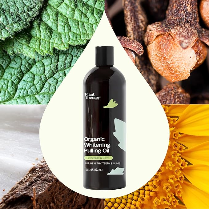 Plant Therapy Organic Pulling Oil 16 oz Coconut & Peppermint, Naturally Whitens Teeth, Freshens Breath & Supports Gum Health, Helps Calm Oral Irritation and Discomfort, Natural Essential Oils