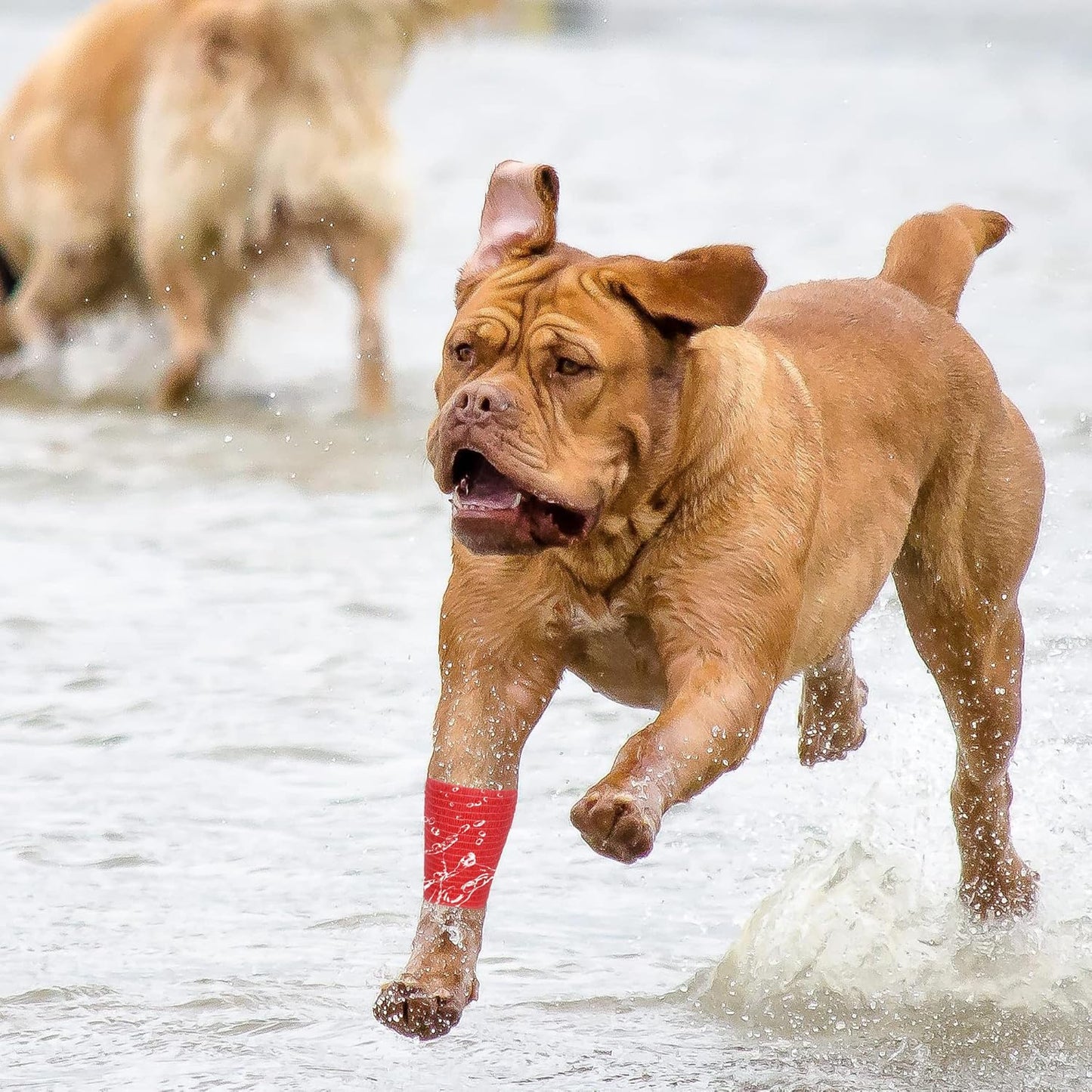 8 Rolls Cohesive Bandage 2” x 5 Yards Self Adherent Bandage Wrap Breathable Vet Tape Elastic Adhesive Bandage for Sports, Wrist, Ankle, Tattoo Wraps(Rainbow Colors)