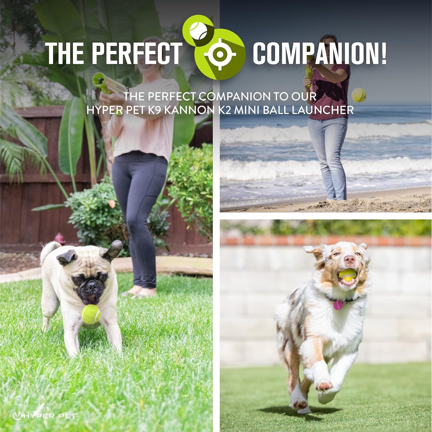 Hyper Pet Mini Tennis Balls for Dogs - 12 Pack (Dog Ball Toys for Exercise, Fetch K9 Mini Kannon K2) Interactive Toys & Tennis Balls - Great for Small Dogs