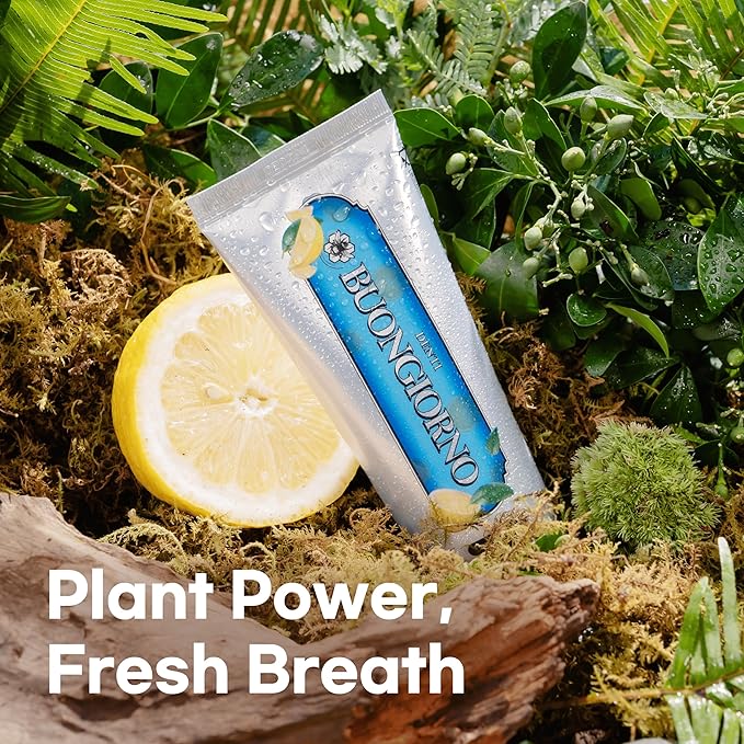 Plaque Care Toothpaste (3 Pack, Lemon Mint) – Natural Fluoride Korean Toothpaste for Plaque Removal, Tartar Control, Strengthens Enamel, Paraben & SLS Free (3.52fl oz / 100g)