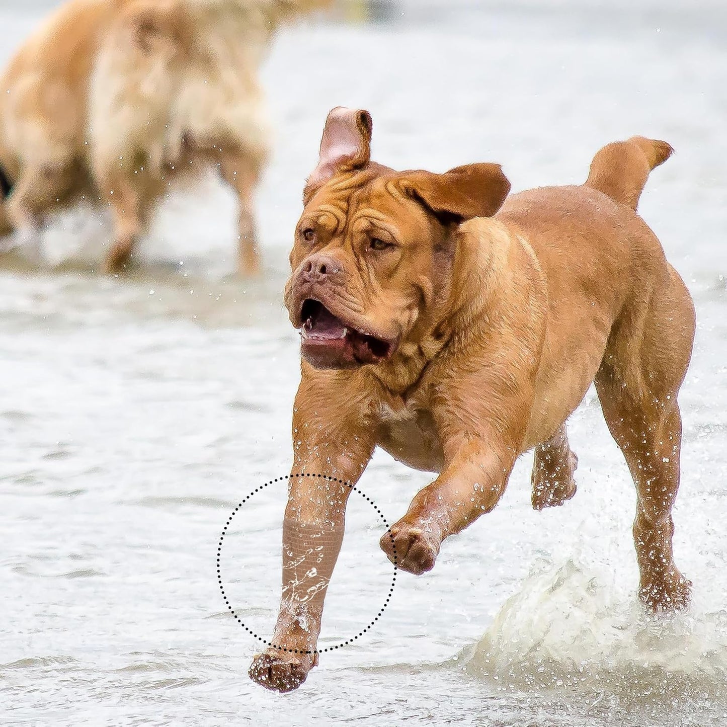8 Rolls Cohesive Bandage 2” x 5 Yards Self Adherent Bandage Wrap Breathable Vet Tape Elastic Adhesive Bandage for Sports, Wrist, Ankle, Tattoo Wraps(Light Brown)
