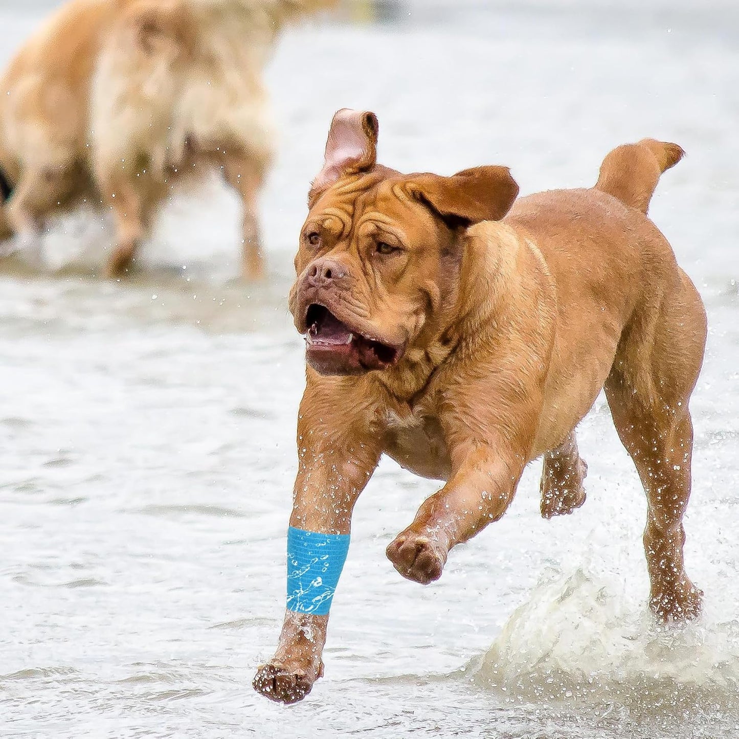 8 Rolls Cohesive Bandage 2” x 5 Yards Self Adherent Bandage Wrap Breathable Vet Tape Elastic Adhesive Bandage for Sports, Wrist, Ankle, Tattoo Wraps(Light Blue)